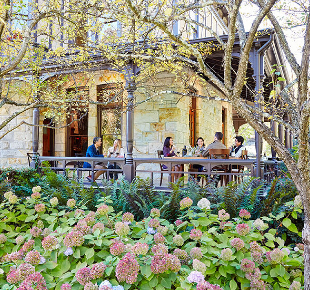 A photo of a group of Wine Club members enjoying each others' company in nature.